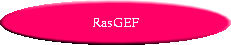  | RasGEF