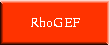  | RhoGEF