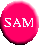  | SAM