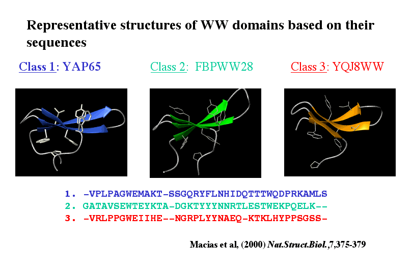 Classes of the WW structures